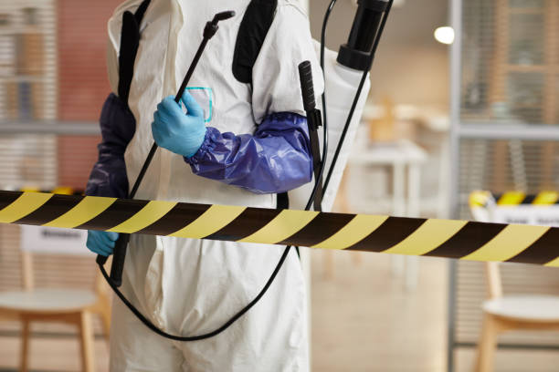 Professional Sewage Cleanup technician working in Kennard, IN